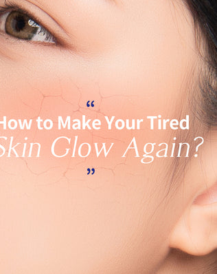 Dermaplus Birch Mask (10 Pack) - [brand_name]