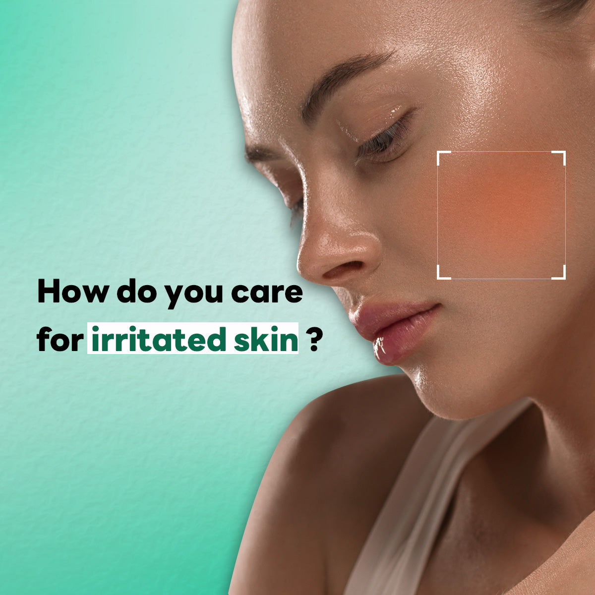 Dermaplus Heartleaf Mask (10 sheets) - [brand_name]