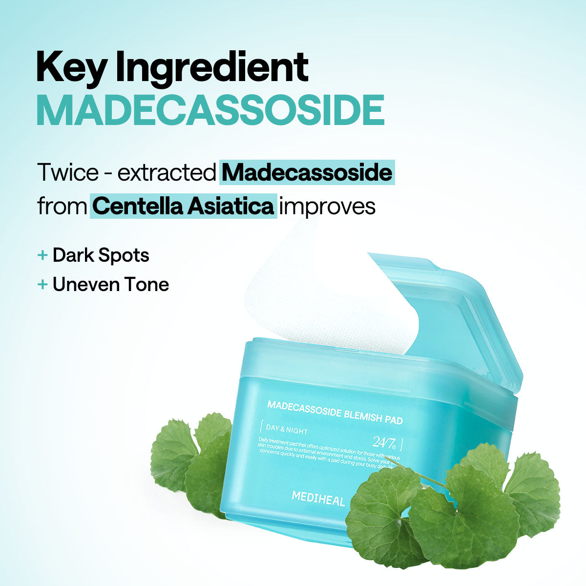 Madecassoside Pad