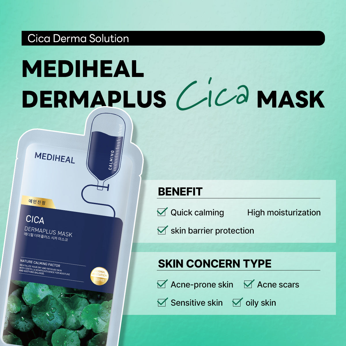 Dermaplus Heartleaf Mask (10 sheets) - [brand_name]