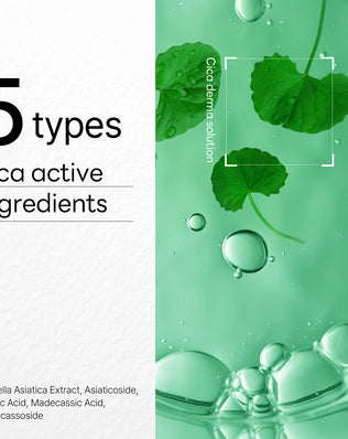 Dermaplus Heartleaf Mask (10 sheets) - [brand_name]