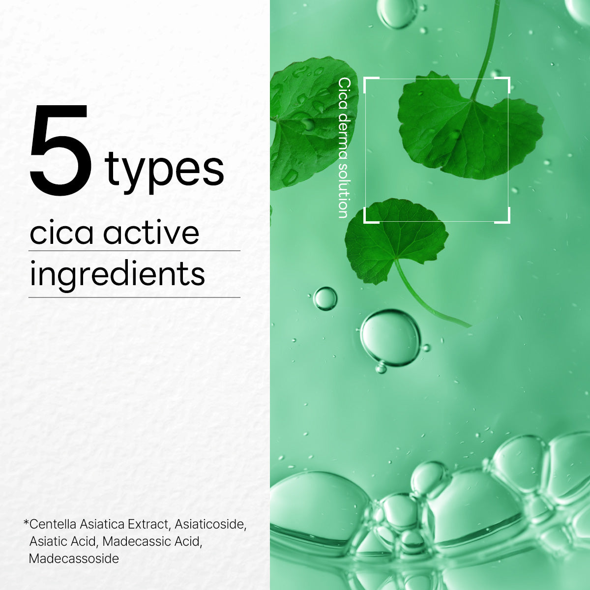 Dermaplus Heartleaf Mask (10 sheets) - [brand_name]