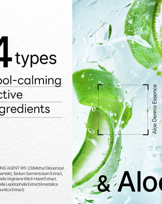 Dermaplus Aloe Mask (10 Pack) - [brand_name]