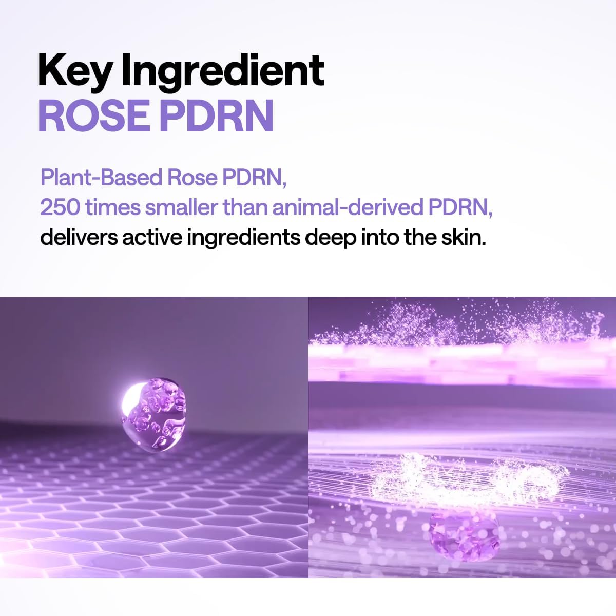 PDRN Lifting Pad - [brand_name]