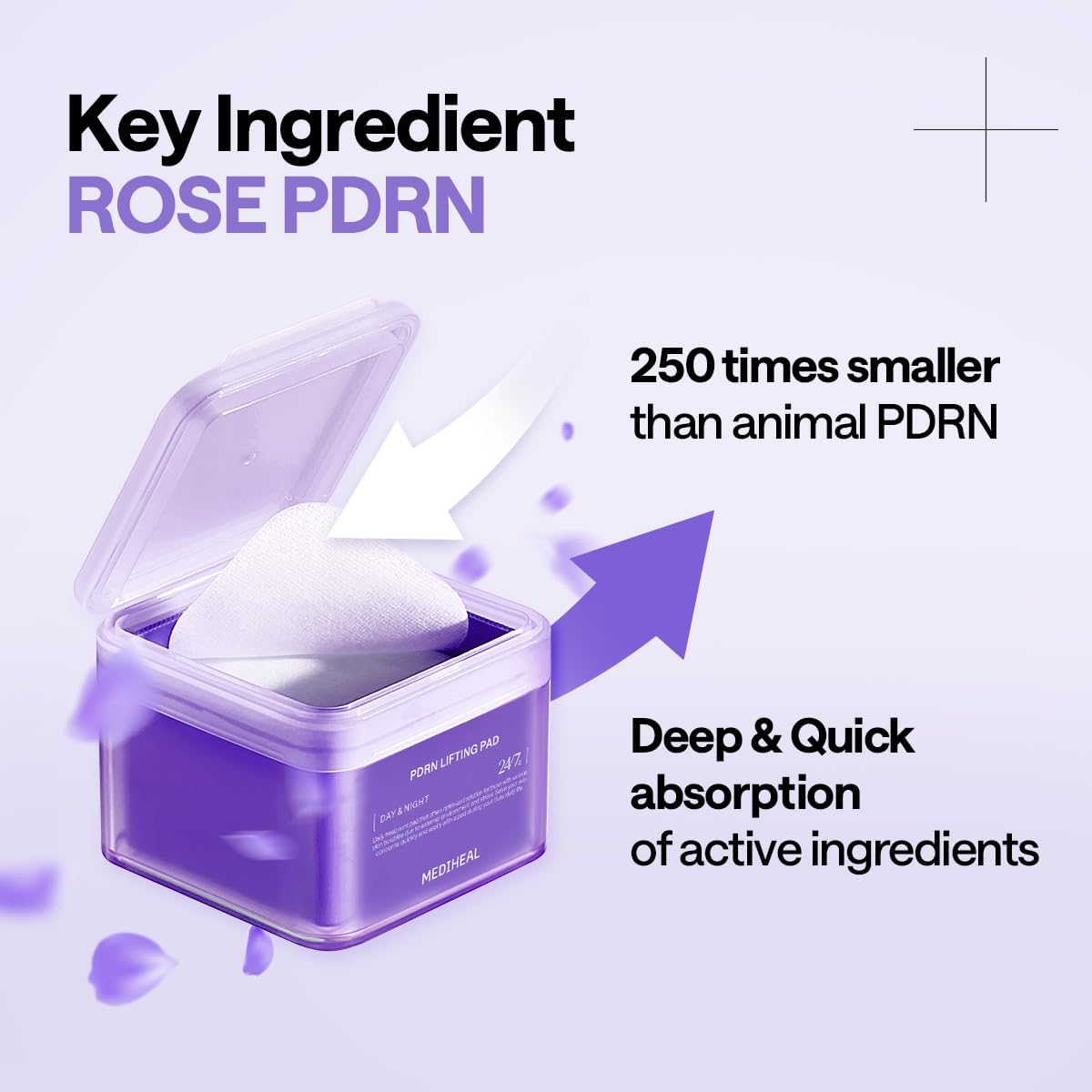 PDRN Lifting Pad - [brand_name]