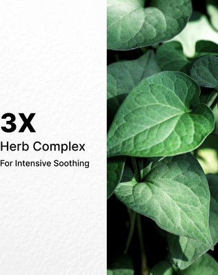 Dermaplus Heartleaf Mask