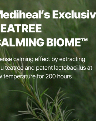 Teatree Nude Gel Mask - [brand_name]